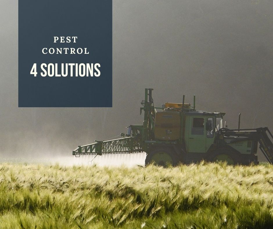 Solution to 4 common agricultural pest control problems
