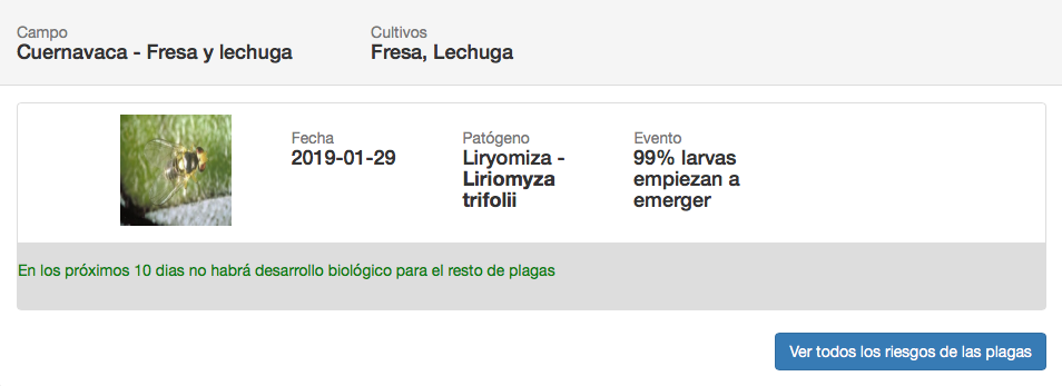 Avisos gratuitos para el control de plagas en tus cultivos: riesgo de plagas y su desarrollo