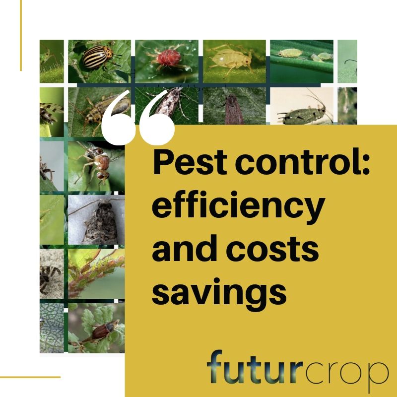 Pest control efficiency in Agriculture