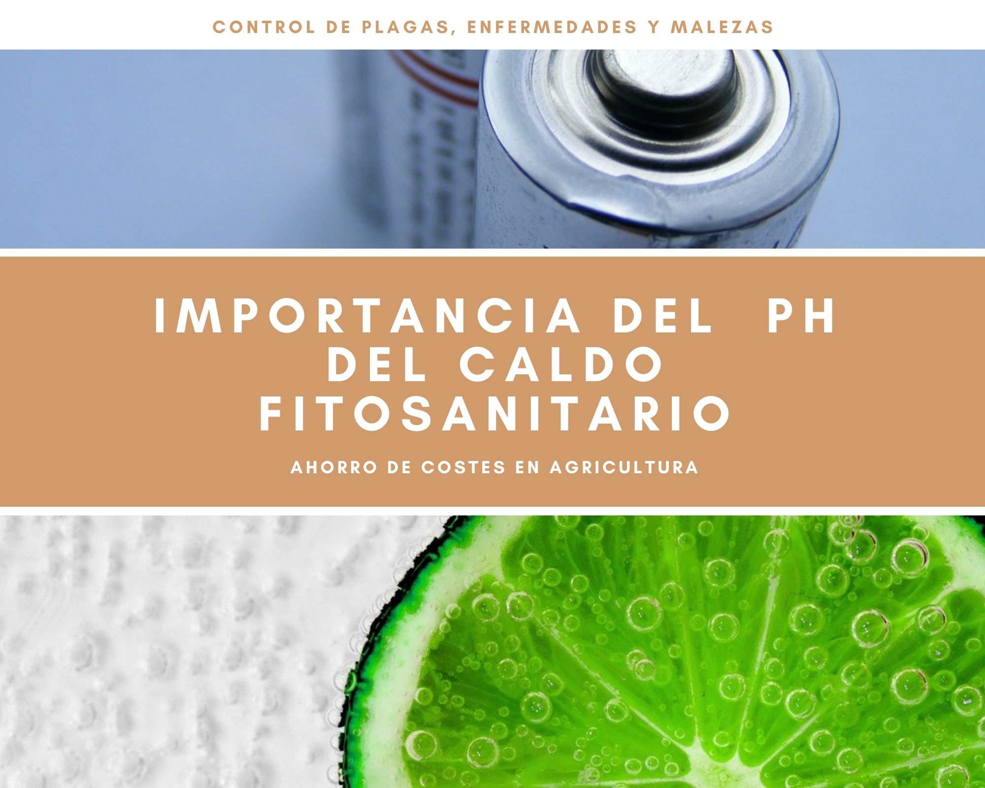 Importancia del pH en la eficacia caldo fitosanitario