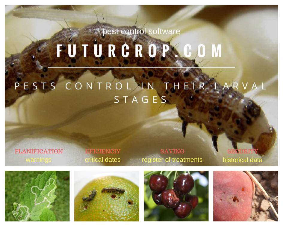 Agricultural pest control in their larval stages