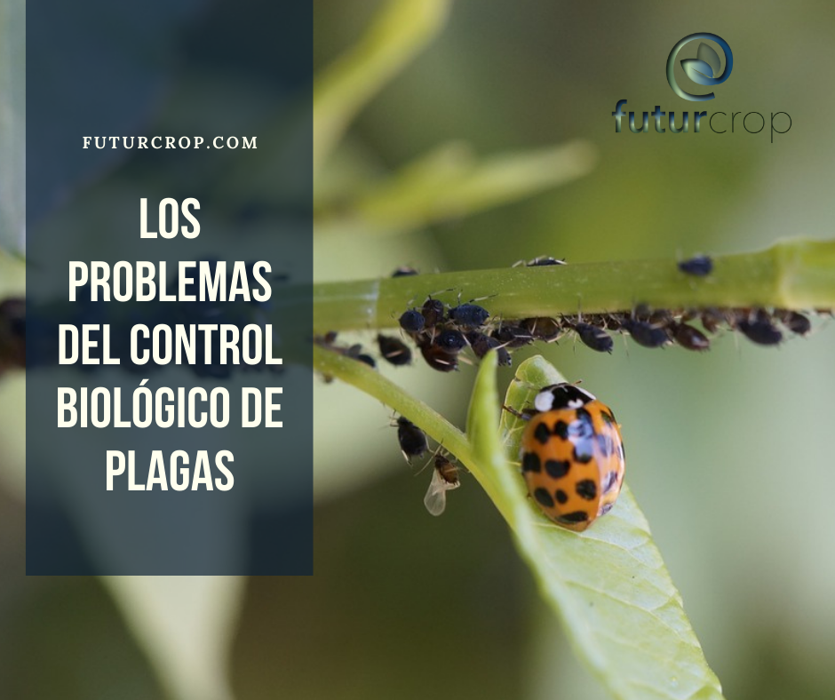 Los problemas del control biológico de plagas