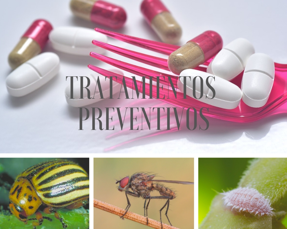 Si no se usan antibioticos preventivamente, ¿por qué se usan indiscriminadamente los pesticidas?