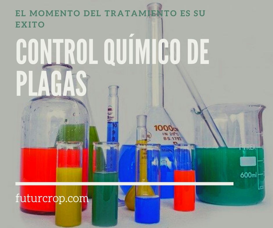 El éxito de los tratamientos químicos de control de plagas