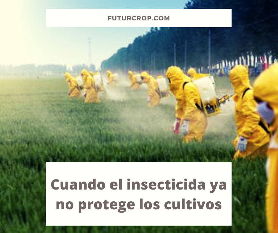 SOS: Cuando el insecticida ya no protege los cultivos