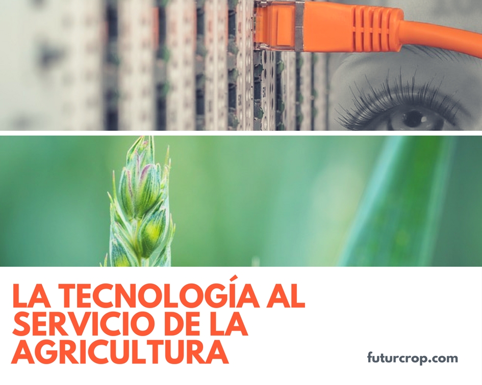 Eficacia en el tratamiento y control de la mosca de la fruta